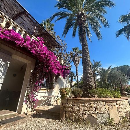 Apartamento Les Palmiers Fréjus Exterior foto