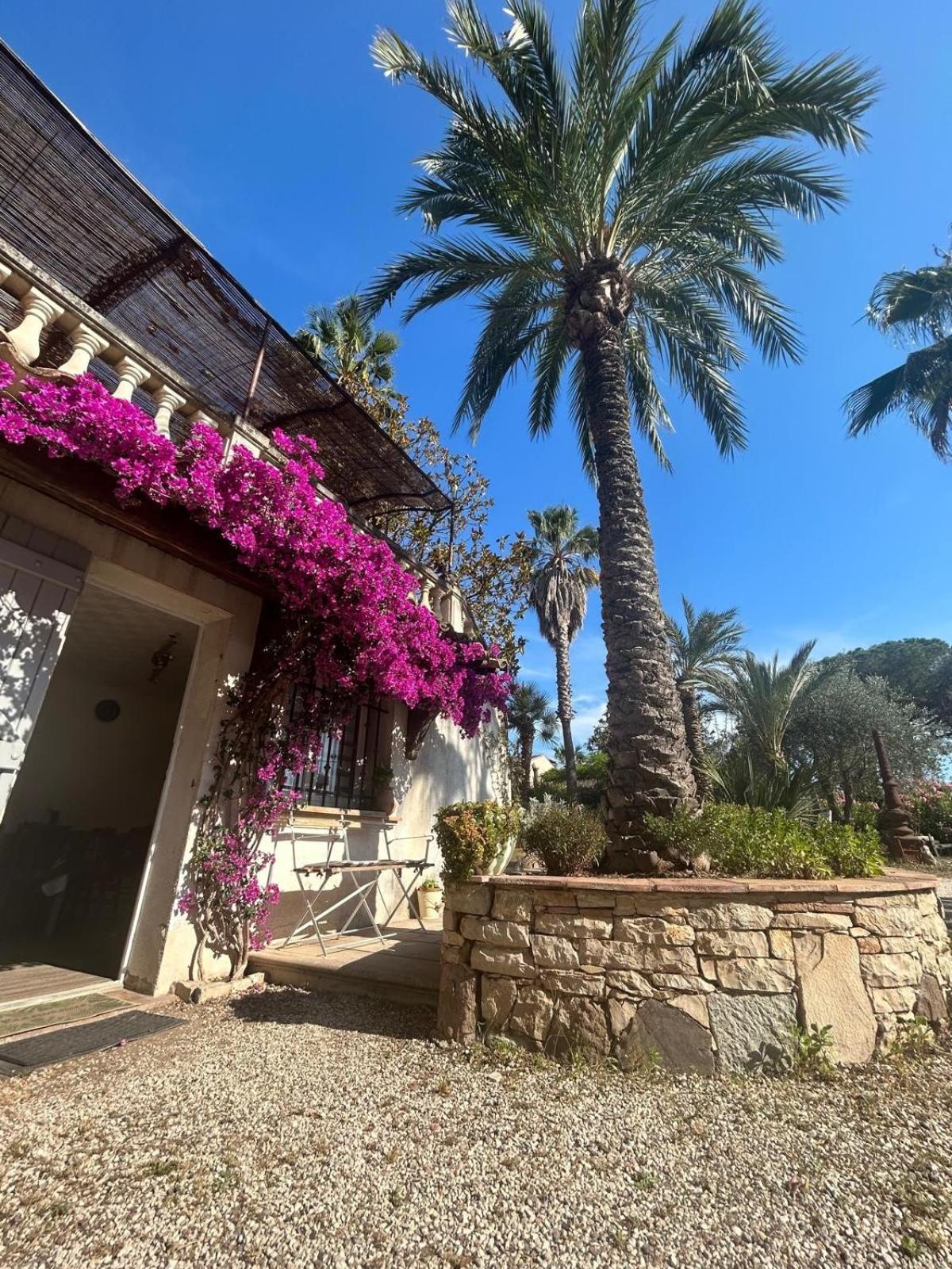 Apartamento Les Palmiers Fréjus Exterior foto