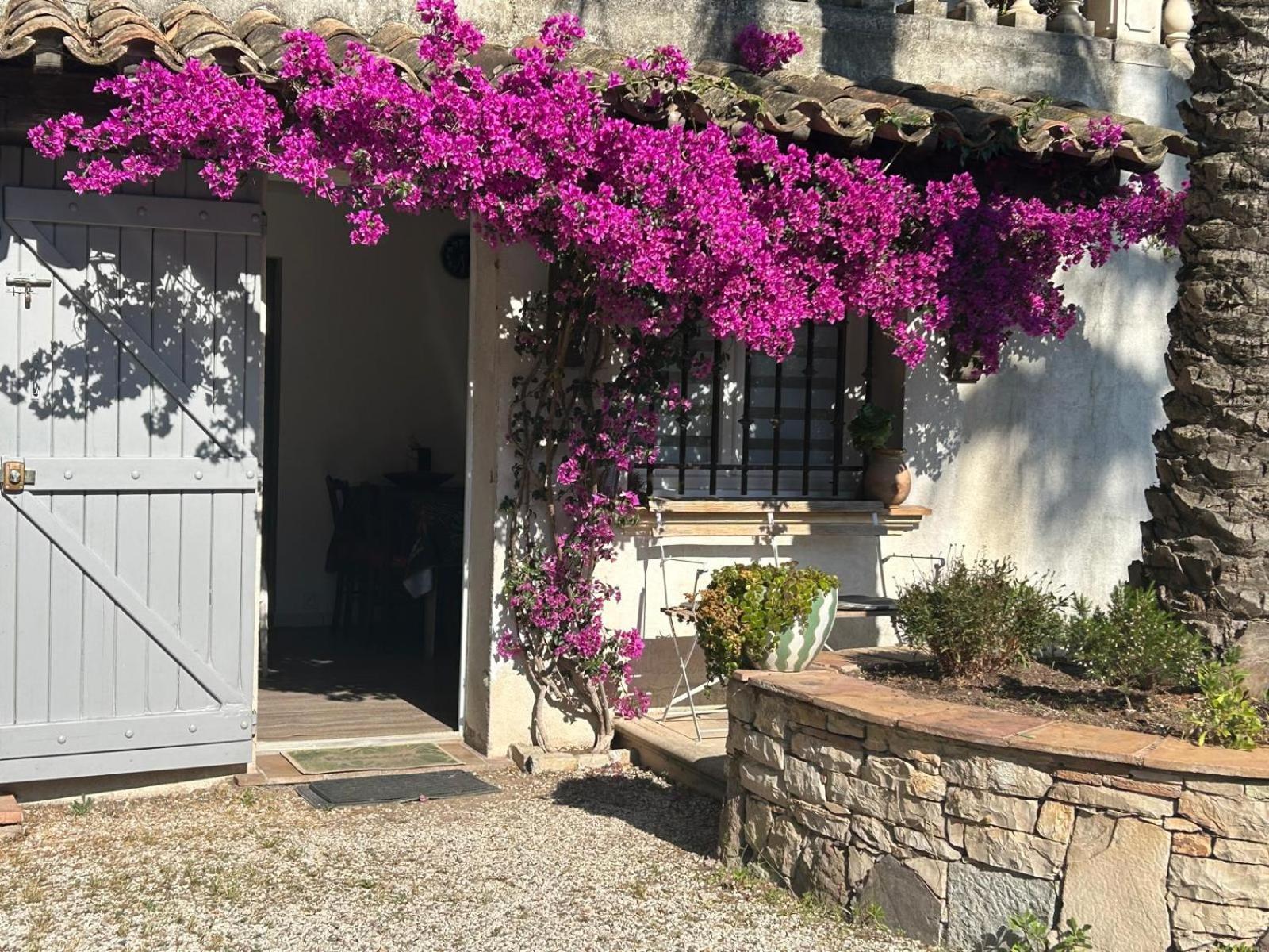 Apartamento Les Palmiers Fréjus Exterior foto